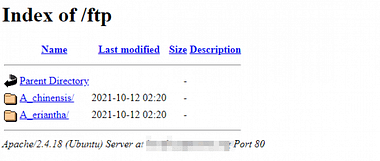 6 coisas que já devia saber sobre o Google Dorks 26 6 coisas que já devia saber sobre o Google Dorks 26